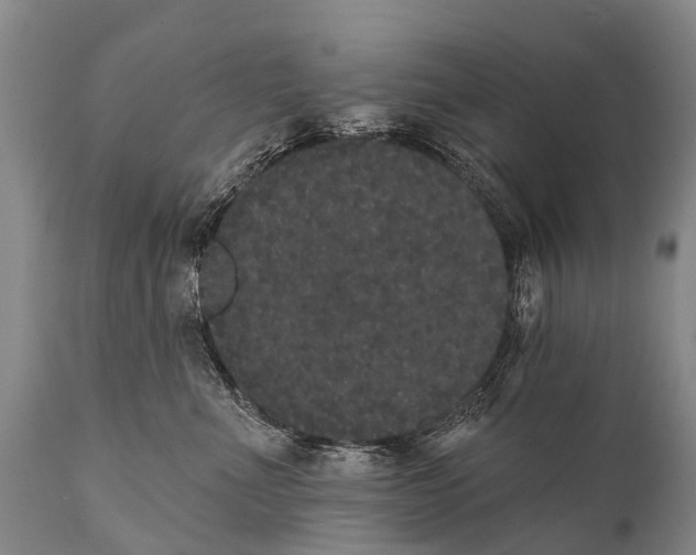 X0000112000523200908171422