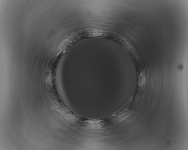 X0000112000524200908171422