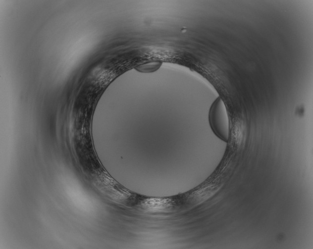 X0000112000526200908171422