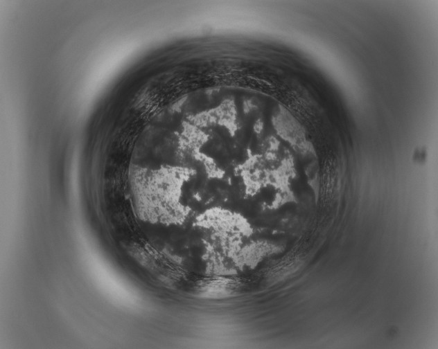 X0000112000527200908171422