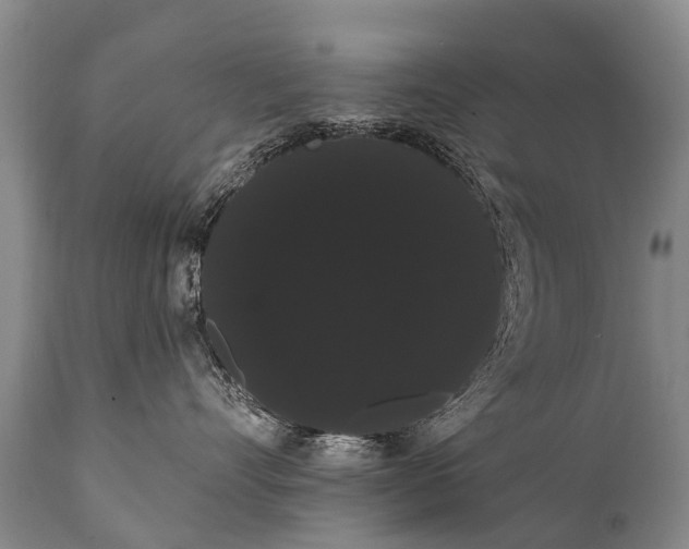 X0000112000528200908171422