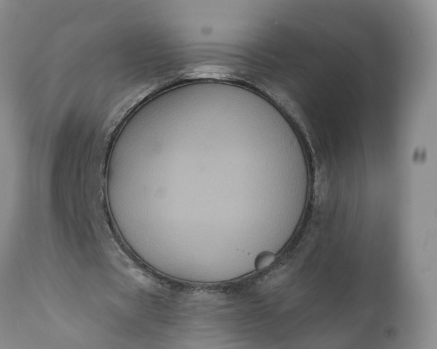 X0000112000529200908171422