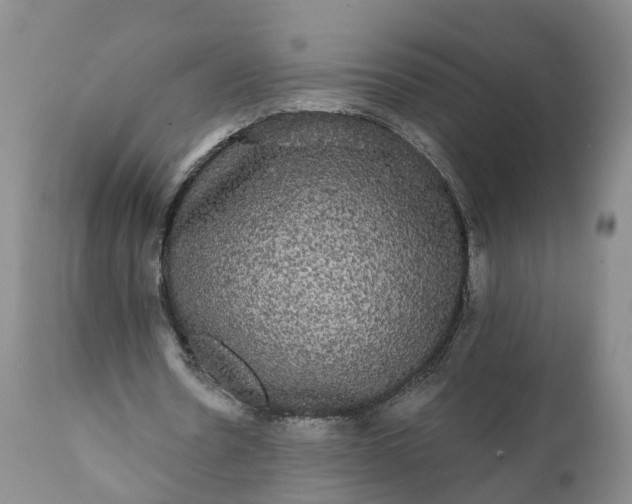 X0000112000530200908171422