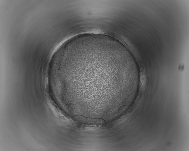 X0000112000532200908171422