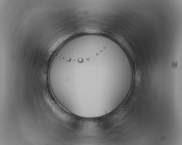 X0000112000533200908171422