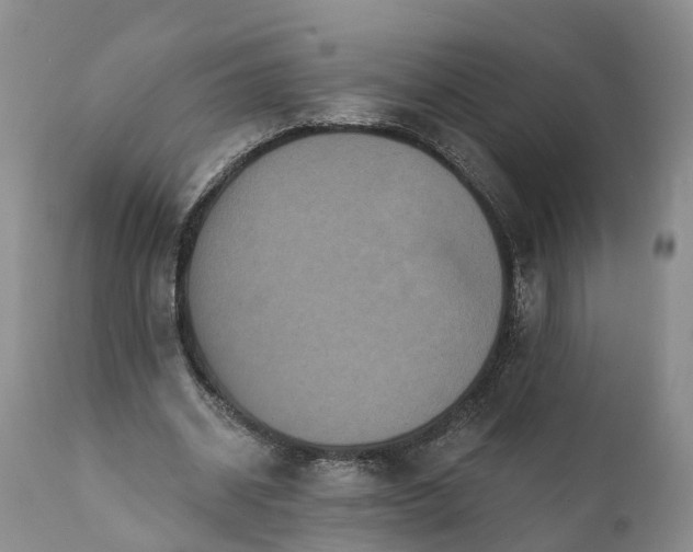 X0000112000534200908171422