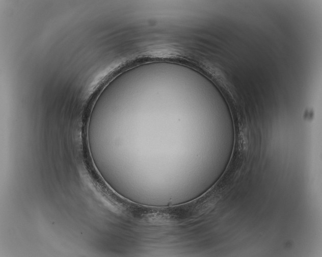 X0000112000535200908171422