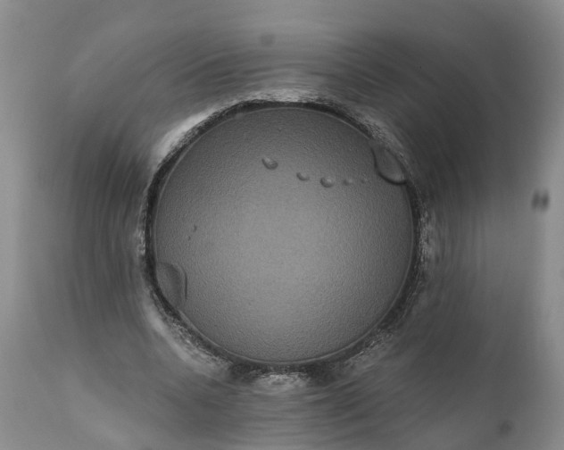 X0000112000536200908171422