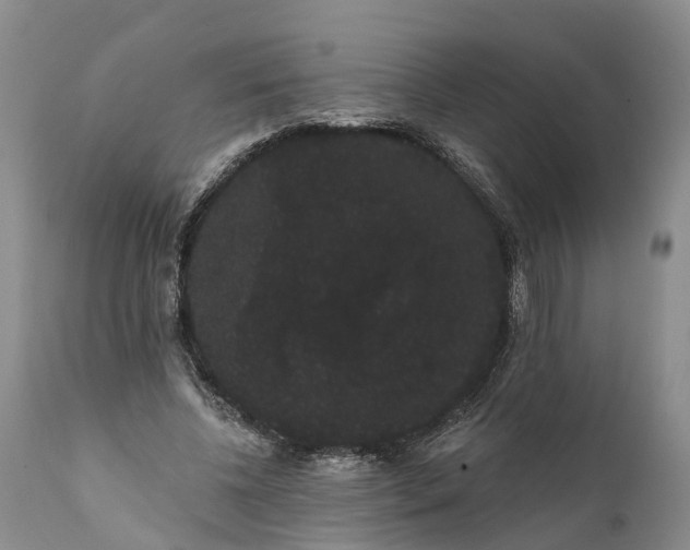 X0000112000540200908171422