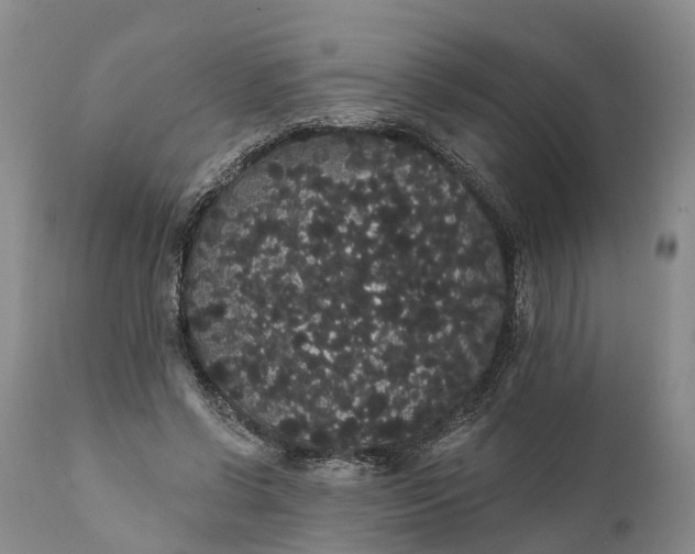 X0000112000542200908171422