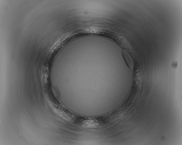 X0000112000544200908171422