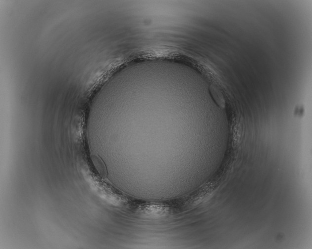 X0000112000546200908171422