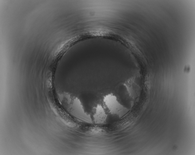 X0000112000547200908171422