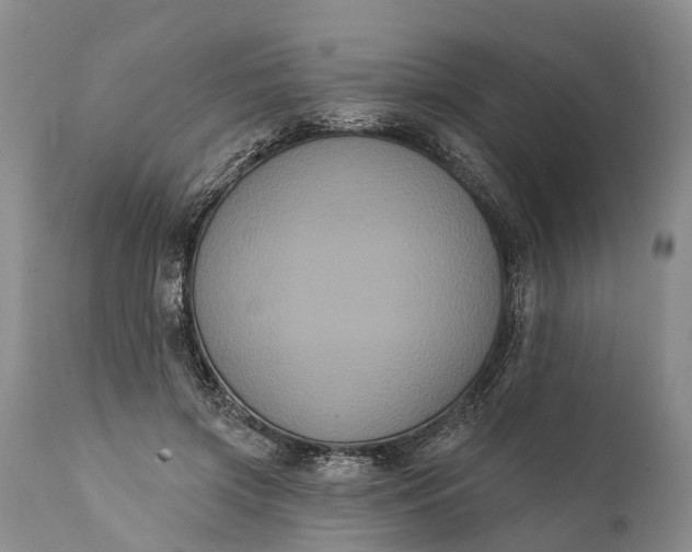 X0000112000549200908171422