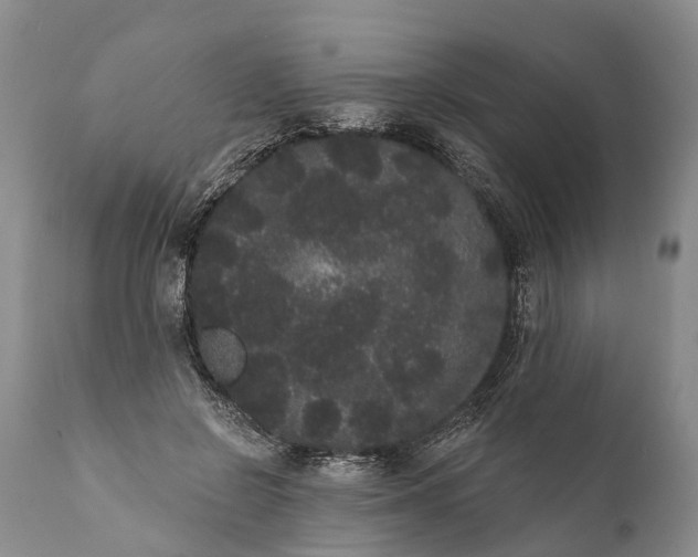 X0000112000550200908171422