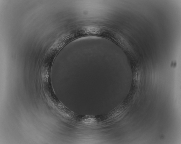 X0000112000551200908171422