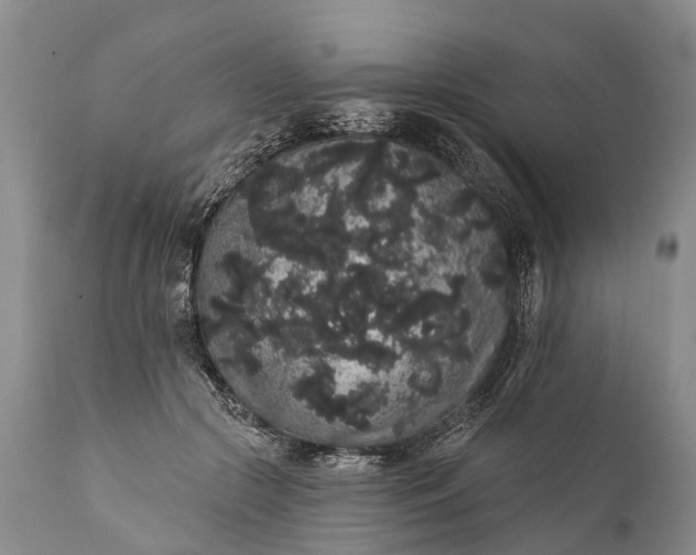 X0000112000553200908171422