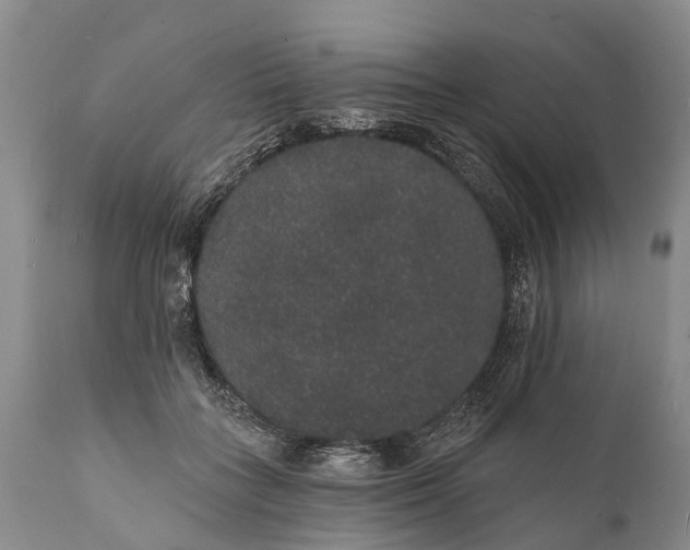 X0000112000555200908171422