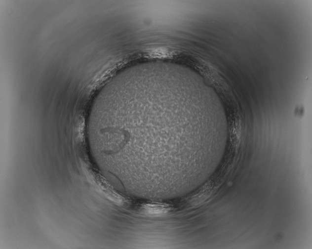 X0000112000556200908171422