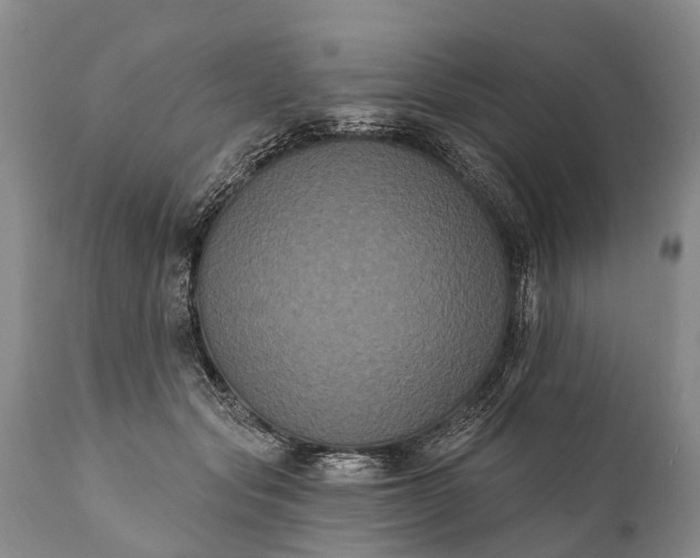 X0000112000557200908171422