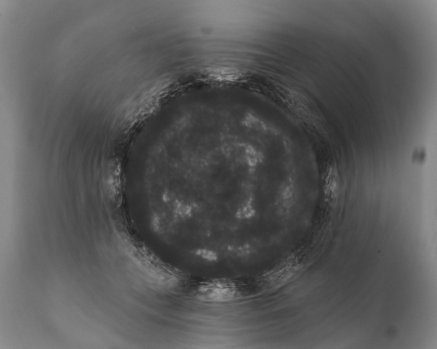 X0000112000559200908171422