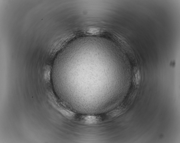 X0000112000562200908171422