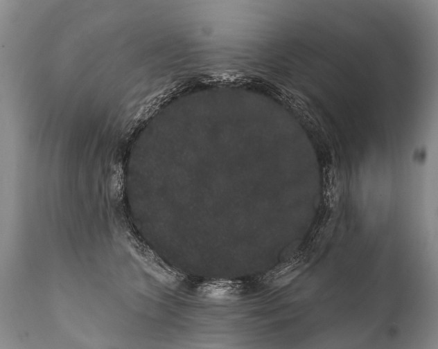 X0000112000563200908171422