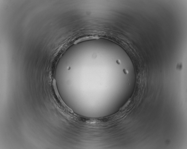 X0000112000564200908171422