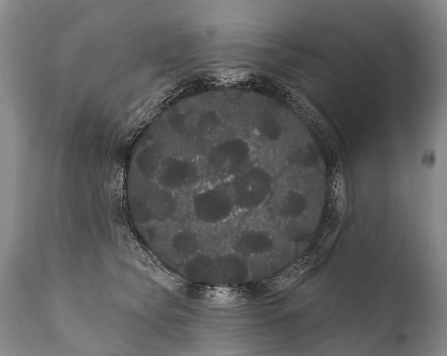 X0000112000565200908171422