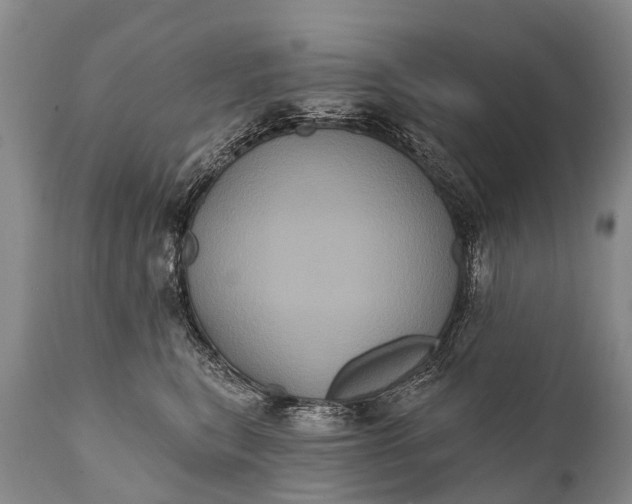 X0000112000567200908171422