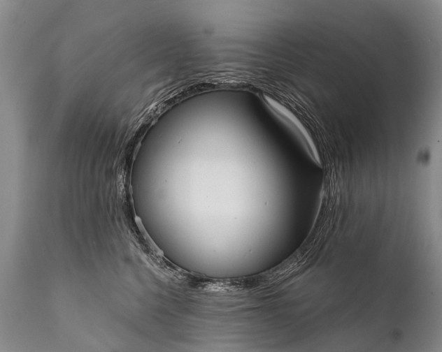 X0000112000568200908171422