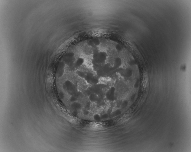 X0000112000569200908171422