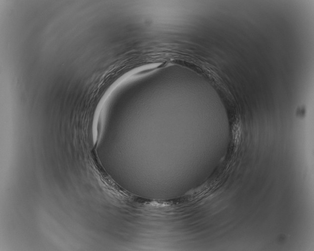 X0000112000570200908171422