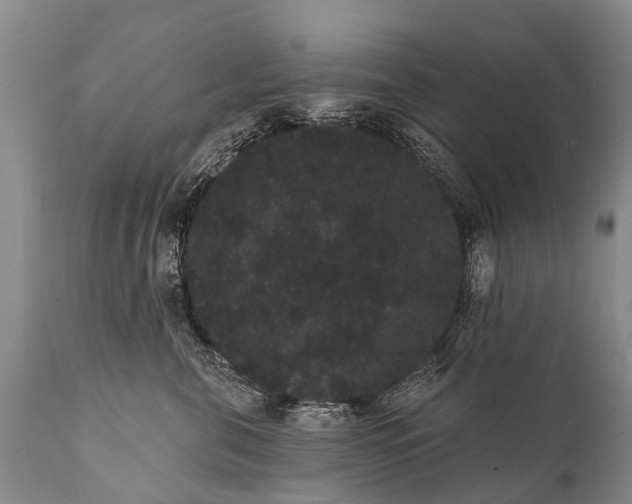 X0000112000571200908171422