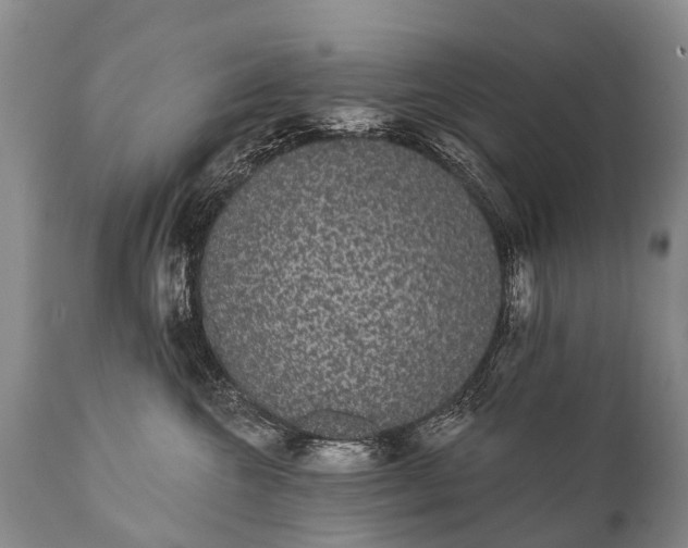 X0000112000572200908171422