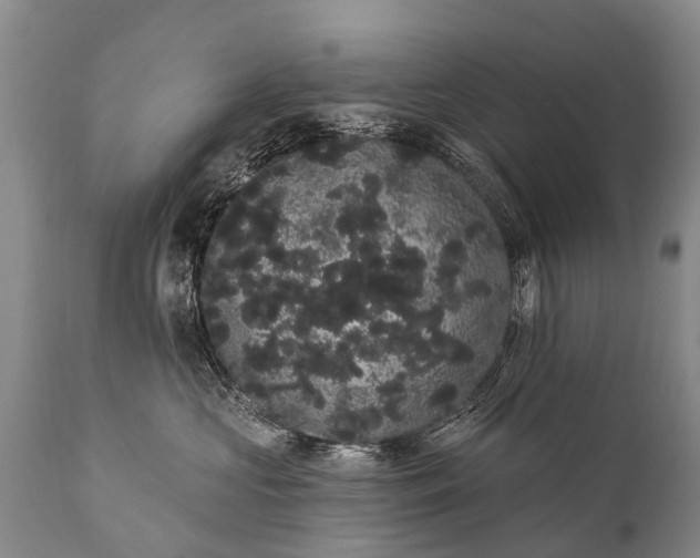 X0000112000573200908171422