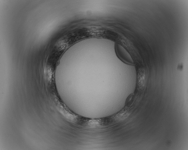 X0000112000574200908171422