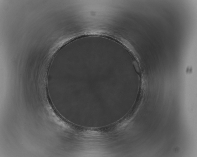 X0000112000577200908171422