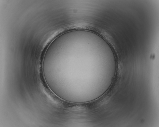 X0000112000578200908171422