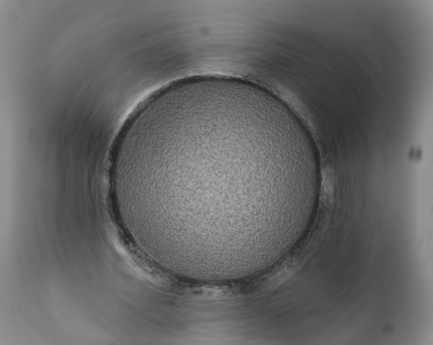 X0000112000580200908171422