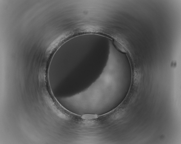 X0000112000581200908171422