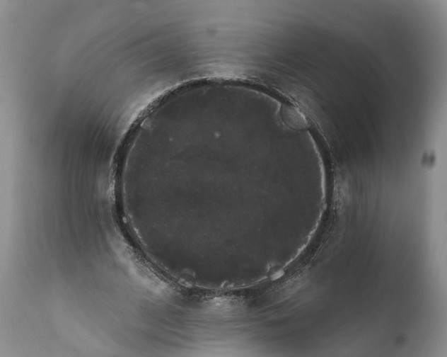 X0000112000584200908171421