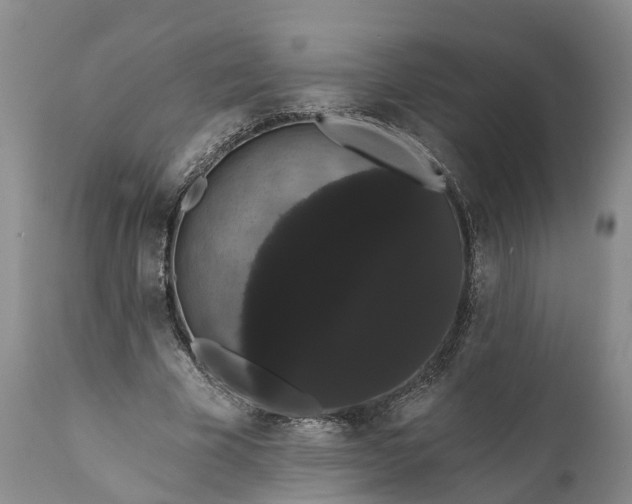 X0000112000585200908171421