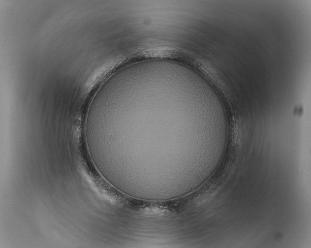 X0000112000586200908171421