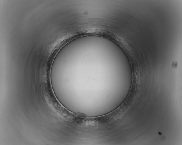 X0000112000587200908171421