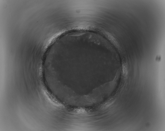 X0000112000588200908171421