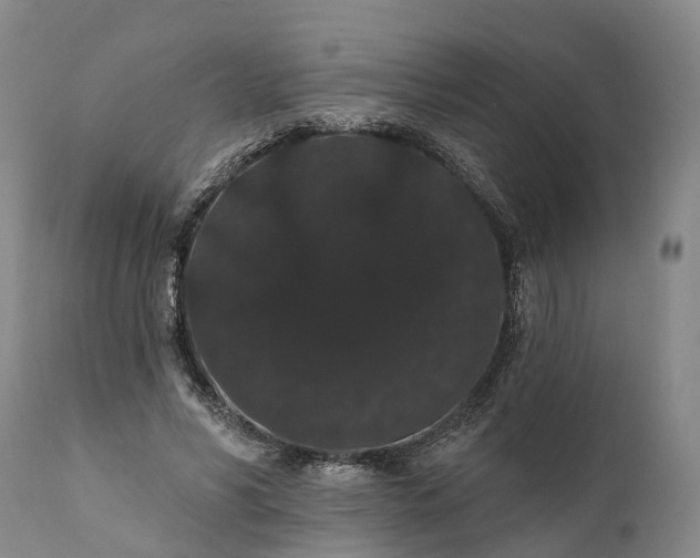 X0000112000590200908171421