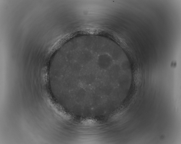 X0000112000594200908171421