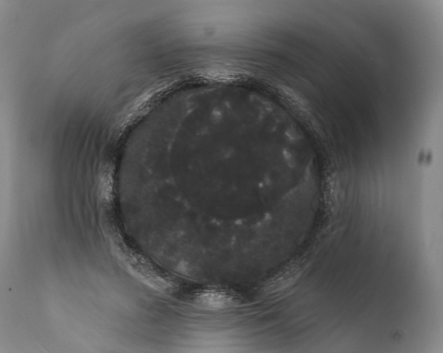 X0000112000596200908171421