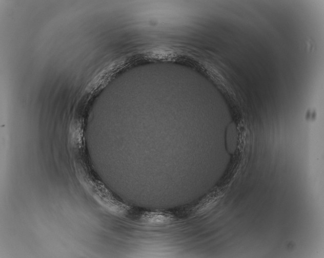 X0000112000597200908171421